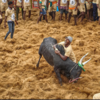 Importance to Tamil culture