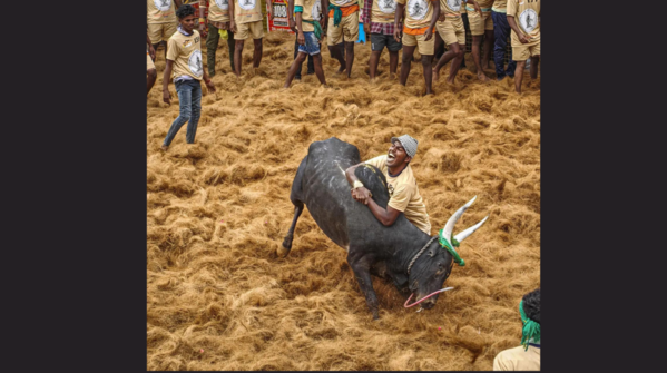 Importance to Tamil culture
