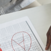Article image for: Role of Grades in <i class="tbold">career success</i>