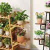 ​Multi-level stands for more greenery