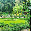 Company Garden