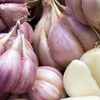 Article image for: Is garlic oil better than <i class="tbold">onion oil</i> for hair growth?