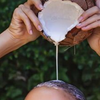 Article image for: <i class="tbold">coconut milk</i>