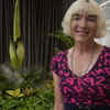 Putricia fever grips Sydney