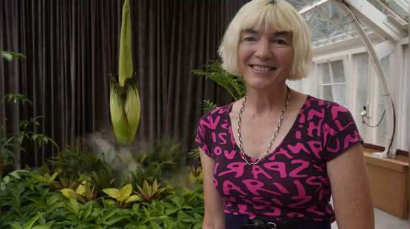 Putricia fever grips Sydney