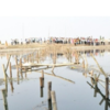 22 killed in Patna Chhath festival stampede, 2012