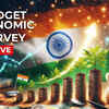 Budget 2025 Expectations Highlights: Economic Survey 2024-25 highlights government’s push for rural development