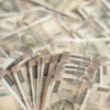 Article image for: <i class="tbold">interim budget</i>