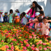 A floral extravaganza