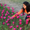 Tulips across Delhi’s parks