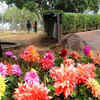 Garden of Five Senses