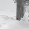 Winter storms cause travel chaos in Michigan and Colorado