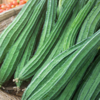 Article image for: <i class="tbold">ridge gourd</i> (Turai) (0.8g fibre per 100g)
