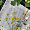 Article image for: Connect concepts with real-life examples