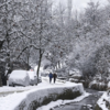 Dry winter in Kashmir this year