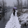 More snowfall predicted