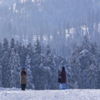 Bhaderwah turns into winter wonderland