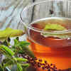 ​Tulsi Tea – Stress and immune support