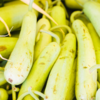 Article image for: Doodhi (<i class="tbold">bottle gourd</i>)