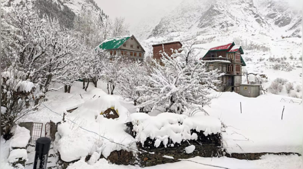 Heavy snowfall blankets Himachal Pradesh
