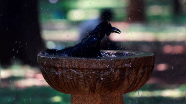 Why snowfall in north and heatwave in west?