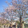 Whitefield’s floral wonderland