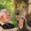 PM Modi's encounters with the wild cat family