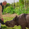 One-Horned Rhino Calf