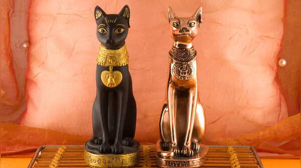 Cats as symbol of power