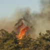 Charred landscapes and damaged structures