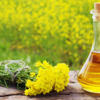 Article image for: Prevents <i class="tbold">premature greying of hair</i>