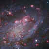 NGC 2403