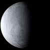 White Moon