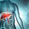 Improves liver health  