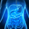 Improves digestion  