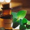 Eucalyptus