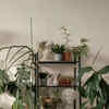 plant pots and planters Planter - Rustic - Black - Round