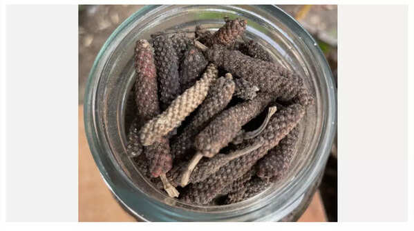 Pippali - Long pepper