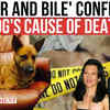 Article image for: Hackman Case: Dog's <i class="tbold">cause of death</i> Revealed With Concerning Necropsy Report