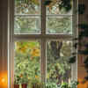 9 indoor plants that will easily live for over 50 years | Times of India