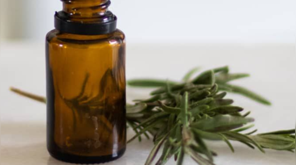 Rosemary essential oil