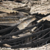 Blaze leaves 5​9 dead, many injured