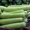 Article image for: <i class="tbold">bottle gourd</i>
