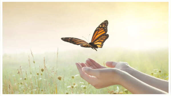 Learn to let go