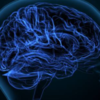 Promotes better brain function