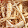 Ginseng