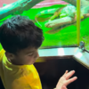 Golla's love for creepy crawlers