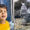 ​Golla found his favourite Penguin