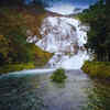 Bhandardara
