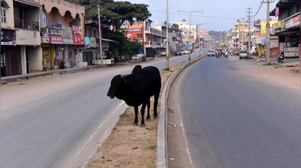 Kannada Okkuta announced bandh